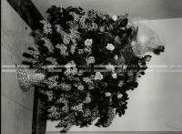 1961_162_044
