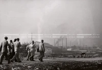 1951_011_091