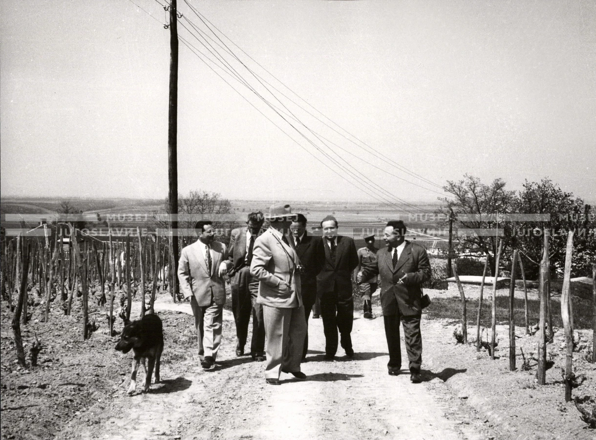 1952_013_105