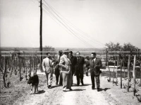 1952_013_105