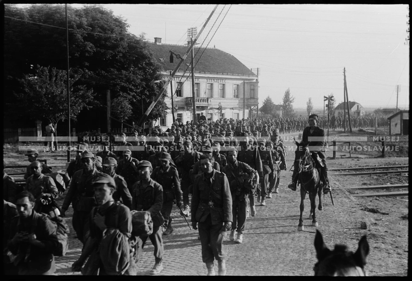 VIS_294_37