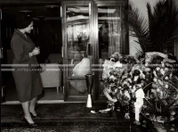 1961_163_194