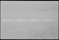 SK_25_A_0639
