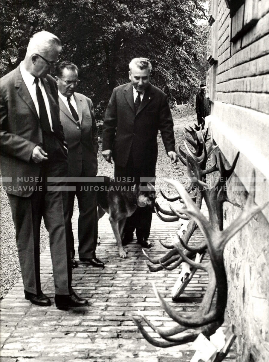 1964_252_006
