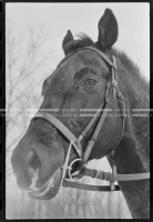 MS_03_A_13