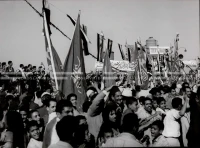 1961_164_037