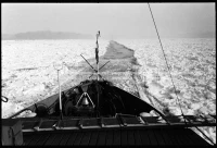 SK_25_A_0727