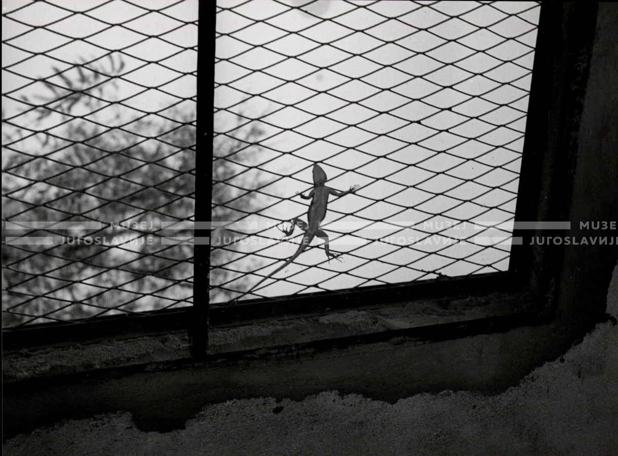 1961_159_110