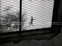 1961_159_110