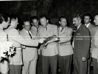 1961_164_099