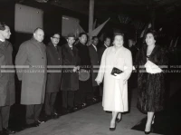 1964_252_185