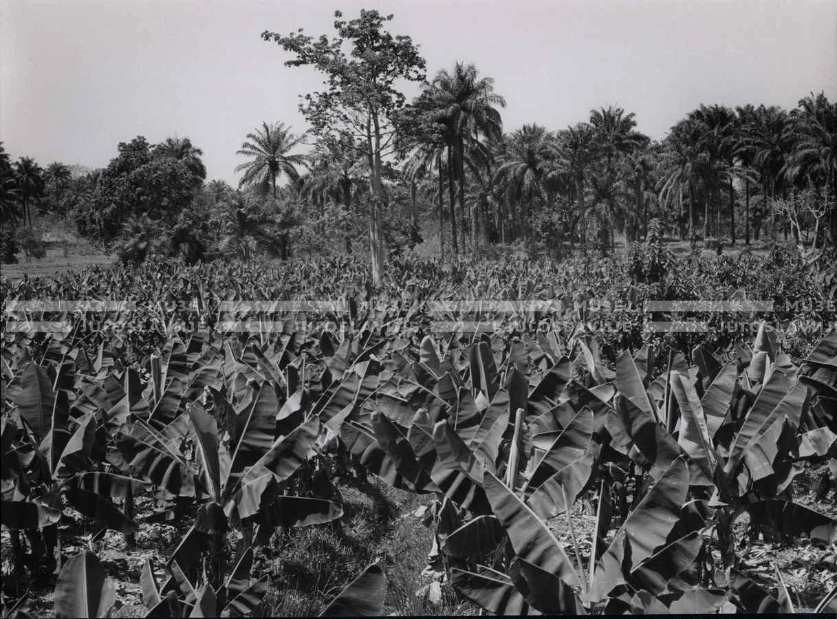 1961_157_170