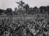 1961_157_170