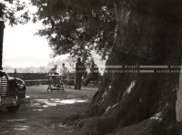 1951_010_044