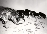 1952_013_048