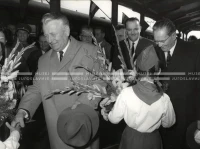 1964_252_191