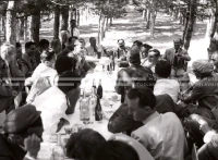 1951_010_022