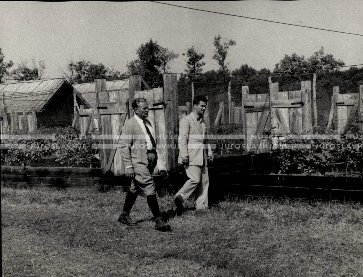 1953_023_103
