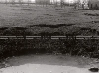 1950_005_101