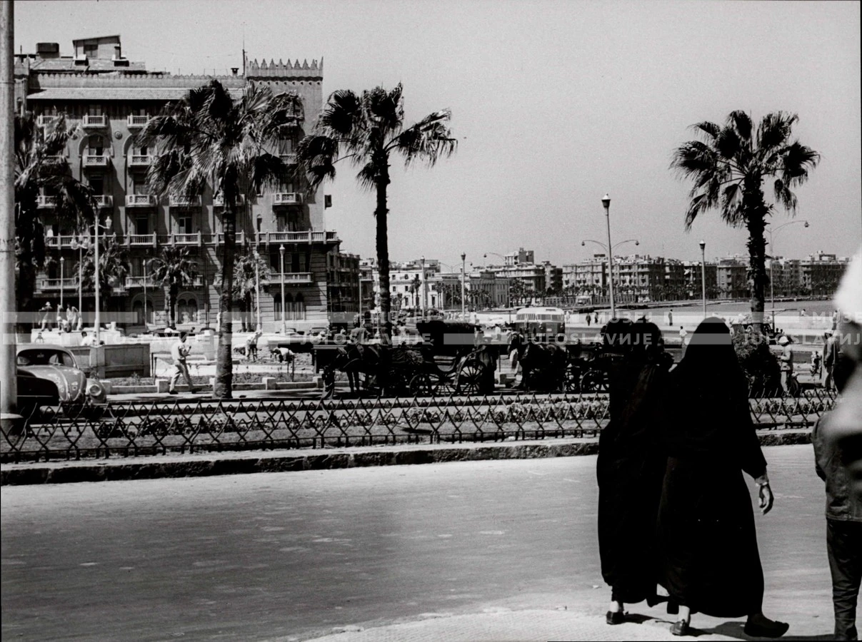 1961_164_096