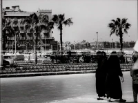 1961_164_096