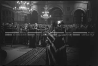 VIS_088_10