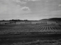1961_160_081