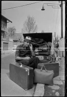 MS_31_A_19