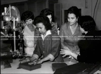 1961_163_086