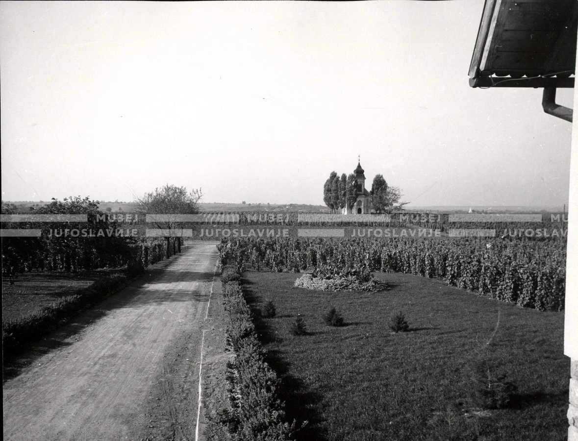 1953_024_062