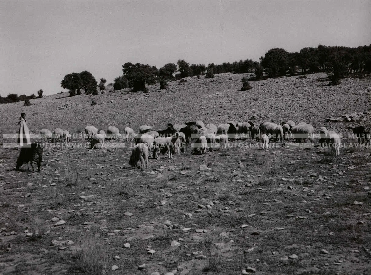 1961_160_142