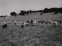 1961_160_142