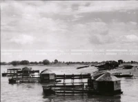 1950_006_148
