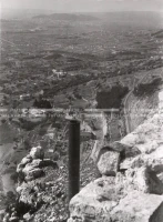 1950_005_055