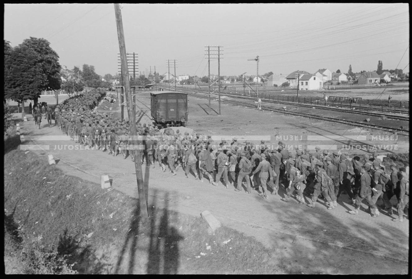 VIS_294_31