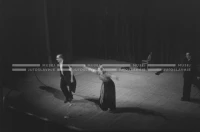 VIS_098_29