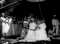 1961_161_055