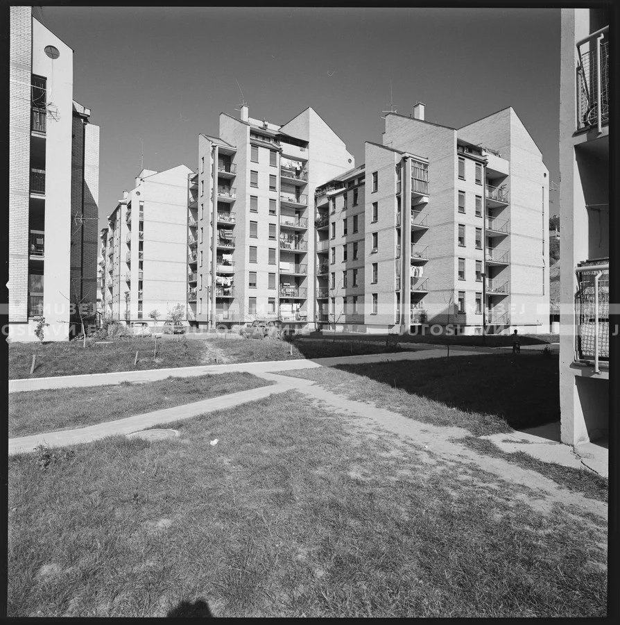ML_B_3736