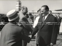 1964_252_029