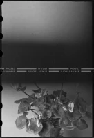 VIS_113_28