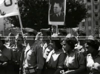 1961_164_109
