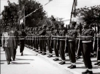 1961_163_116