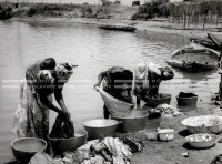1961_159_042