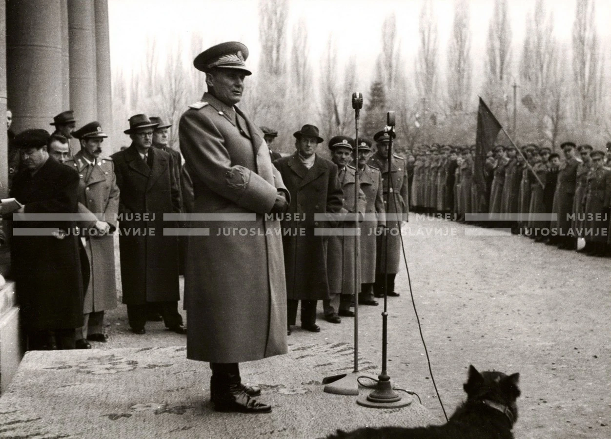 1951_012_137