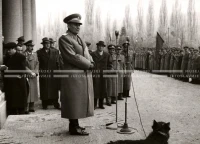 1951_012_137