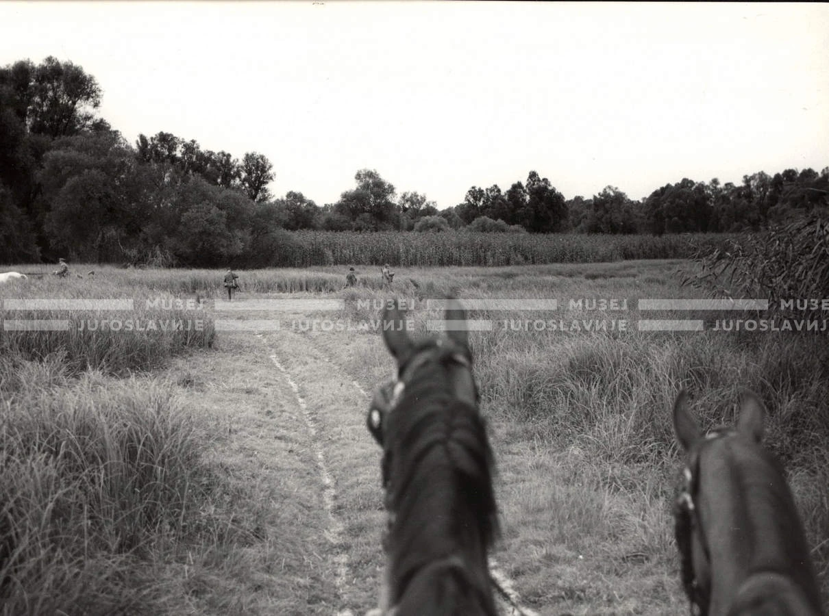 1964_252_003