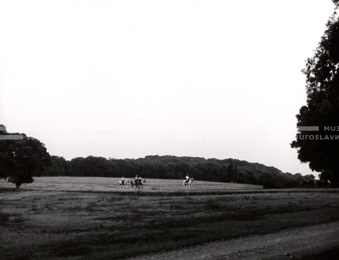 1950_007_096
