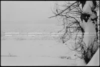SK_25_A_0668