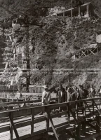 1951_011_074
