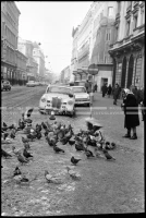 SK_30_A_198